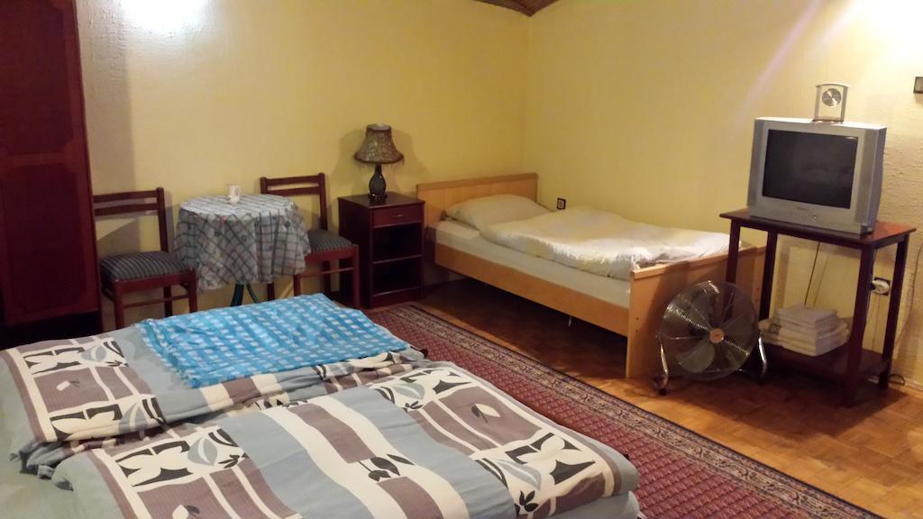 Guest House Gaja 노비사드 객실 사진